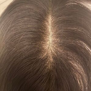 新作!年中快適♪ 高級人毛100% 総手植え分け目カバーヘアピース ブラック