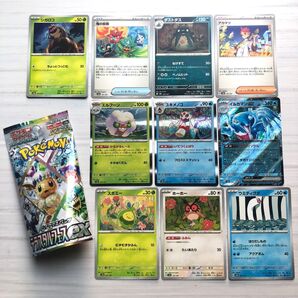 ポケモンカード テラスタルフェスEX RR ダブルレア イルカマンex エルフーン ユキメノコ など10枚セット ポケカ トレカ