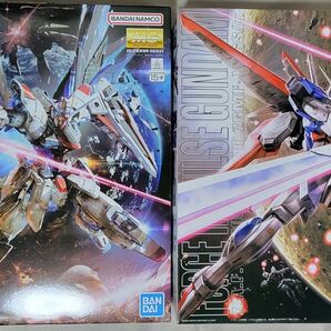 【新品未開封】MGフリーダムガンダム Ver.2.0 + MGフォースインパルスガンダム + デカール