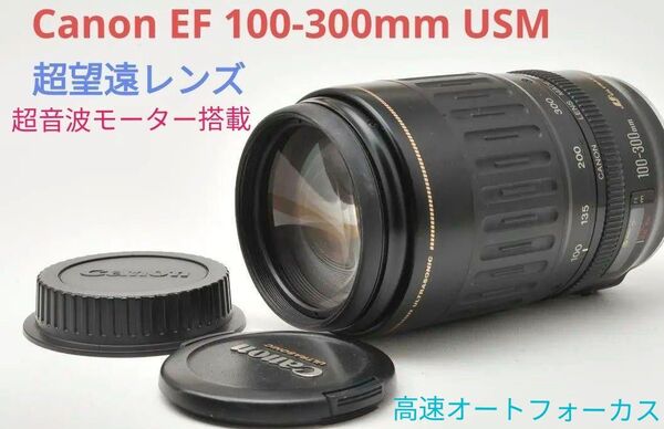 4月17日限定価格♪Canon EF 100-300mm F4.5-5.6