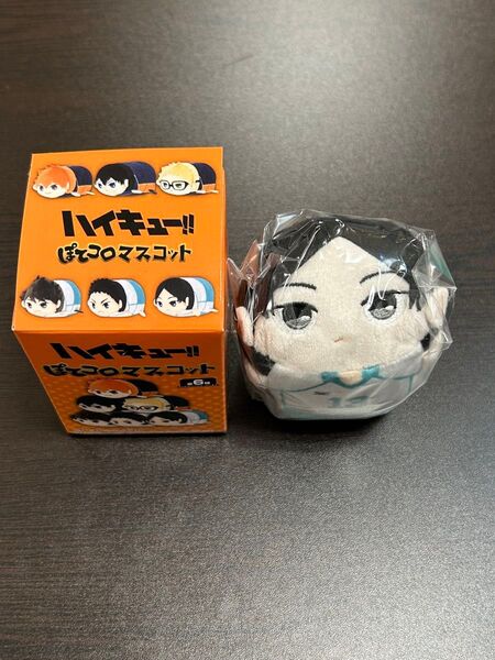 ハイキュー ぽてコロマスコット ぬいぐるみ マスコット 青葉城西 国見英