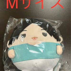 ハイキュー ふわコロりん9 ふわコロりん ぬいぐるみ マスコット Mサイズ 練習着 国見英 マックスリミテッド