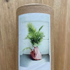CLMENT PASCAL アート作品 植物