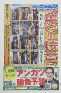 2 -years old horse G1 special collection number 2019 year * Hanshin jubena il Filly z* morning day cup f.-chuliti stay ks* Hope full stay ks Hanshin JF morning day cup FS etc. 