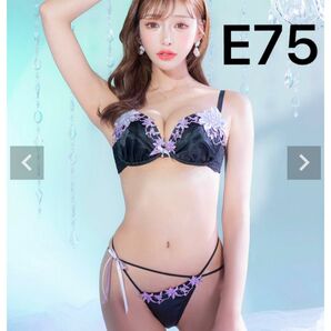 p【人気完売品】WhipBunny ブラ&フルバック ブラック