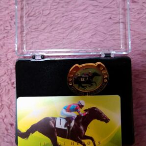 優秀種牡馬 キズナのピンバッチ 競馬