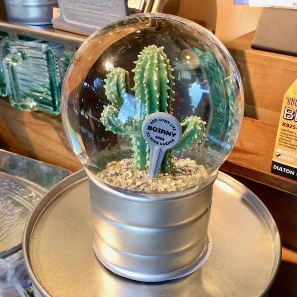 新品 スノードーム ユーフォルビア エキヌス ダルトン サボテン オブジェ 植物
