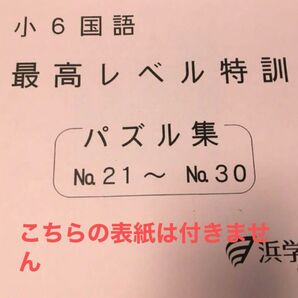 浜学園 最高レベル特訓 パズル集(No.21〜30)