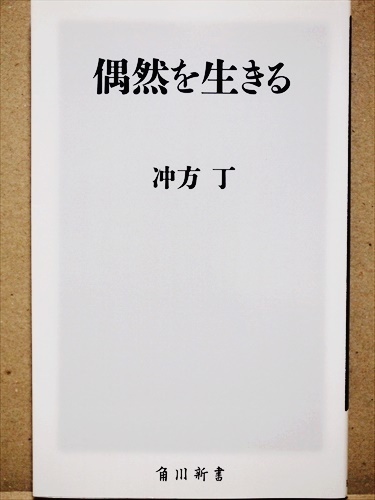 『偶然を生きる』　「物語」が持つ力　偶然を解明　冲方 丁　新書　★同梱ＯＫ★