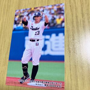 プロ野球チップス 青木