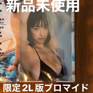 榎原依那 グラビアザテレビジョン限定2L版ブロマイド(星野書店限定)