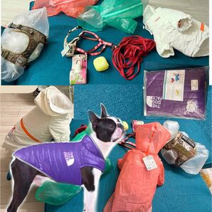 まとめてセール 9点犬服と犬用品なとのまとめて売り★おまけ1点犬レインコート♪
