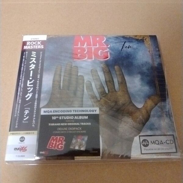 TEN MR. BIG CD ミスタービッグ