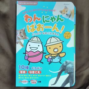 【美品】たまひよ わんにゃんぱおーん!