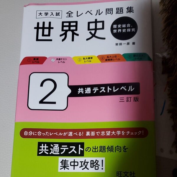 全レベル問題集 世界史 2 (大学入試) 岩田一彦