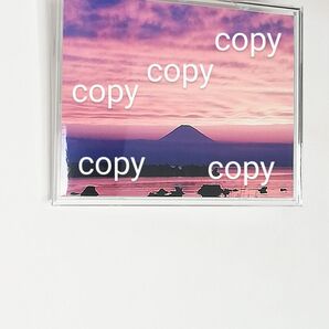 ◇龍神と富士山と海◇金と紫とピンク◇