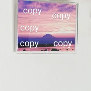 ◇龍神と富士山と海◇金と紫とペールピンク◇