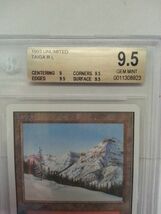 ●MTG● UN Taiga(英語 BGS 9.5 GEM MINT)_画像2