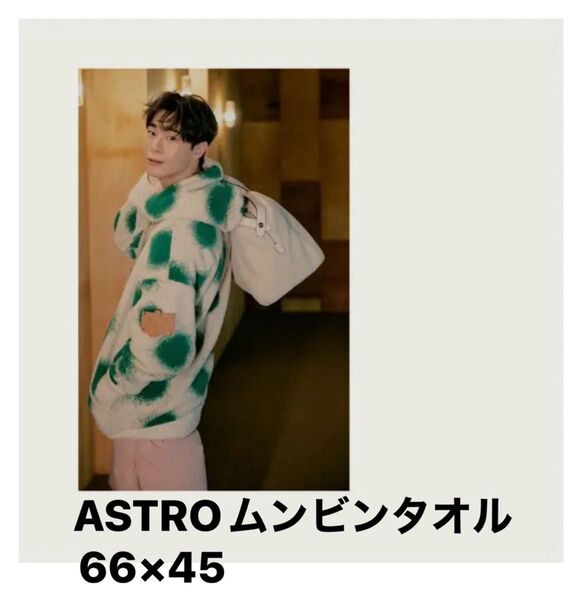 ASTROムンビンタオル66×45