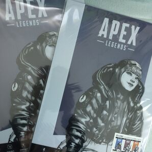 APEX クリアファイル