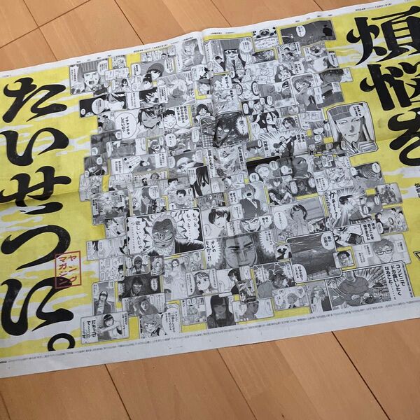 ヤングマガジン 新聞広告 2024.12.31