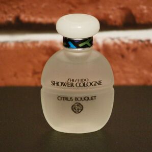 超希少★廃盤 資生堂 シトラスブーケ シャワーコロン オーデコロン 25ml