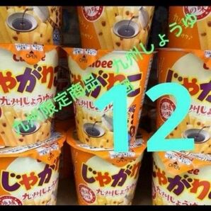 お菓子詰め合わせ 九州限定 じゃがりこ 九州しょうゆ ご当地 スナック 12 個 ギフトにも