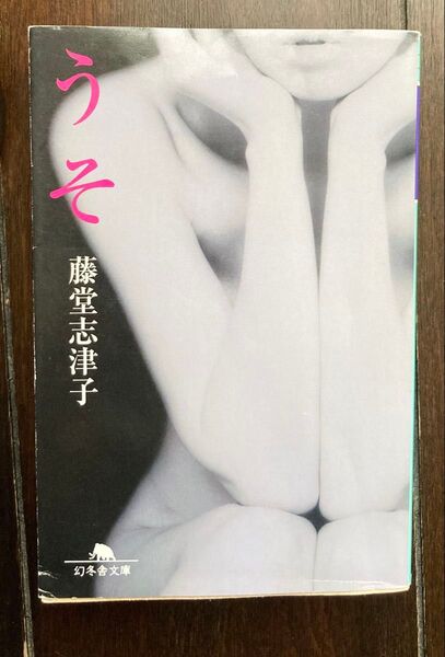 うそ 藤堂志津子著 幻冬舎文庫