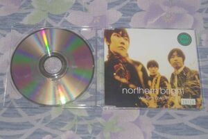 〇♪NORTHERN BRIGHT　WILDFLOWER　CD盤