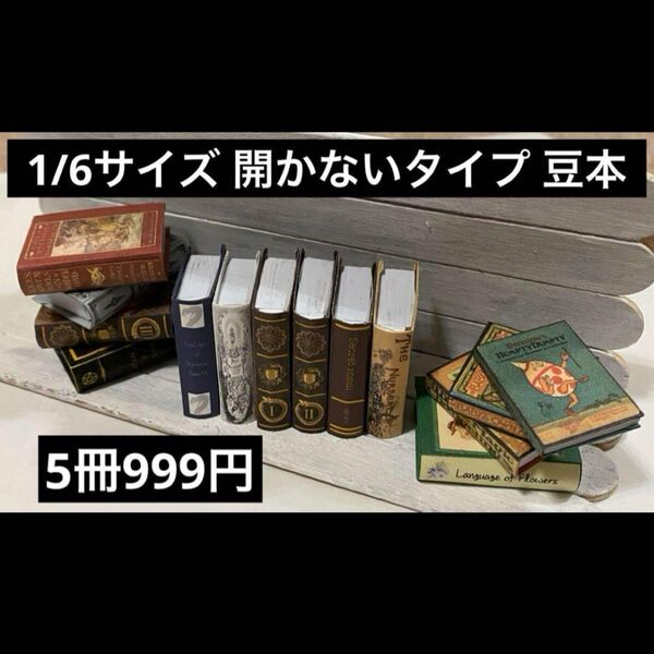 ミニチュア 豆本 開かないタイプ 1/6サイズ 5冊 ハンドメイド 洋書