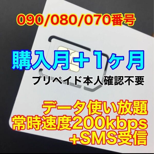 プリペイドSIMカード データ通信速度200kbps 使い放題 データ通信専用 SMS受信可能