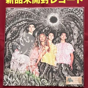 【新品未開封】 asound オリジナル 完全限定アナログレコード レゲエ
