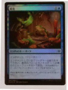 ＭTG日本語/foil/蛙化/エルドレインの王権/アンコモン