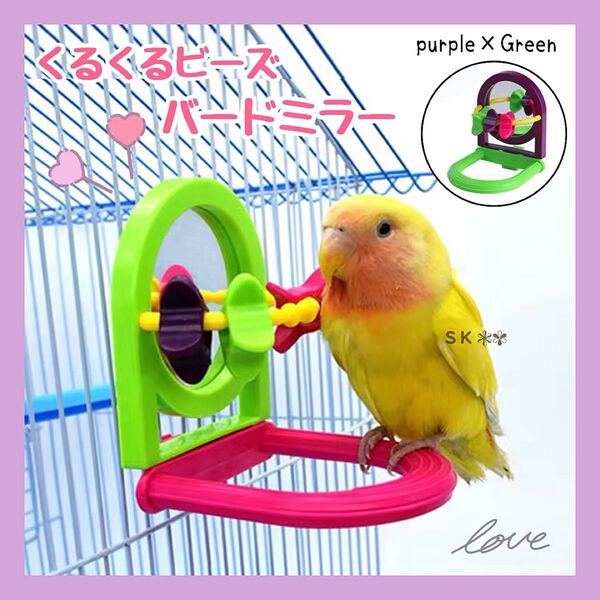 鳥 知育 バードトイ クルクルビーズ バードミラー(パープル×グリーン)