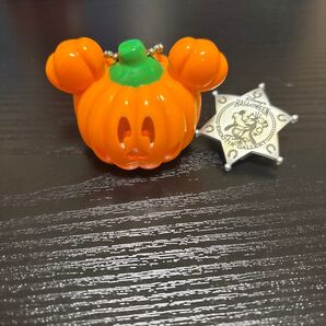 ディズニー かぼちゃ ランタン ライト ドナルド ハロウィン バッチ グーフィ