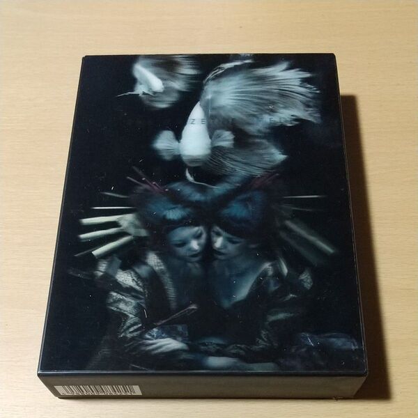 the GazettE LIVE TOUR 12-13DIVISIONFINAL MELT LIVE AT 03.10