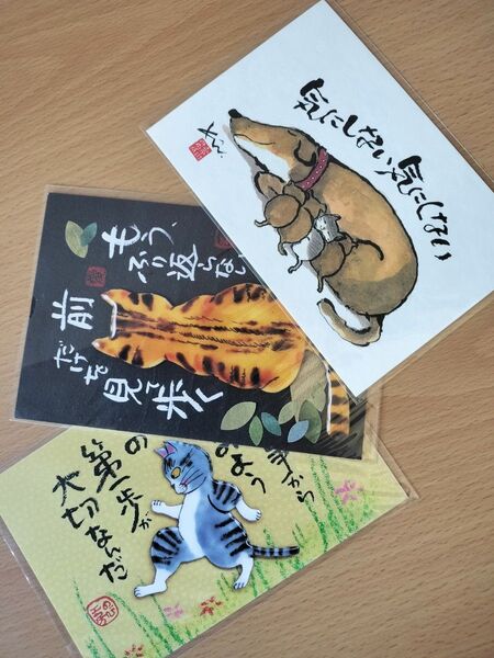 ポストカード メッセージカード 絵葉書 ねこ いぬ