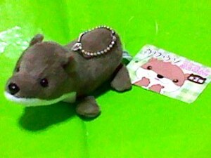 カワウソ マスコットぬいぐるみ 14cm かわうそ