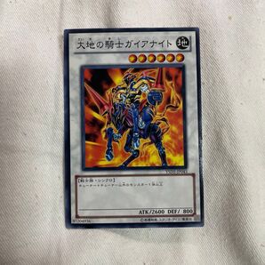 遊戯王 大地の騎士ガイアナイト