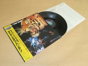 ライヴ＆シングルズ★タイガーズ・オブ・パンタン（TYGERS OF PANTANG）★LP