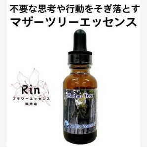 マザーツリーエッセンス パシフィックエッセンス
