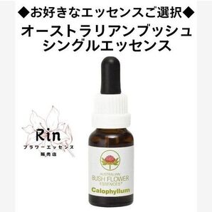 ◆お好きなエッセンスご選択◆オーストラリアンブッシュフラワーエッセンス 15ml