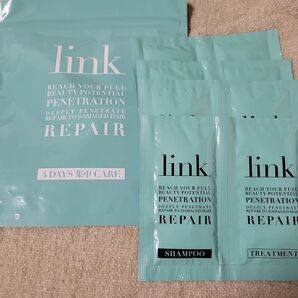 Link 4DAYS 集中CARE(サロン専売品)