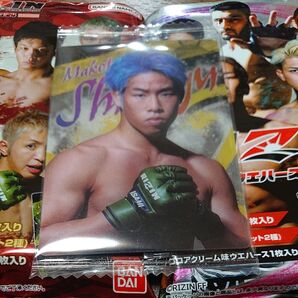 RIZINウエハース24 No.19 神龍誠選手