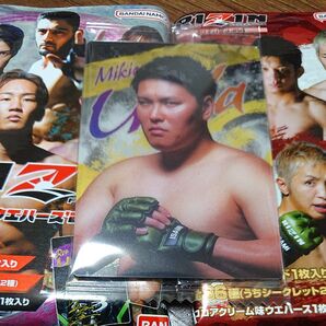 RIZINウエハース24 No.07 上田幹雄選手