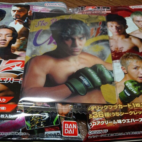 RIZINウエハース24 No.08 宇佐美正パトリック選手