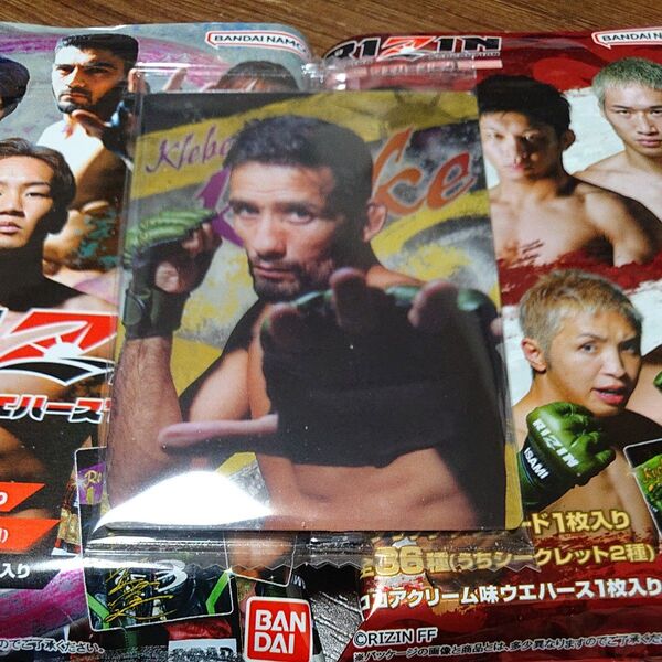 RIZINウエハース24 No.14 クレベル・コイケ選手