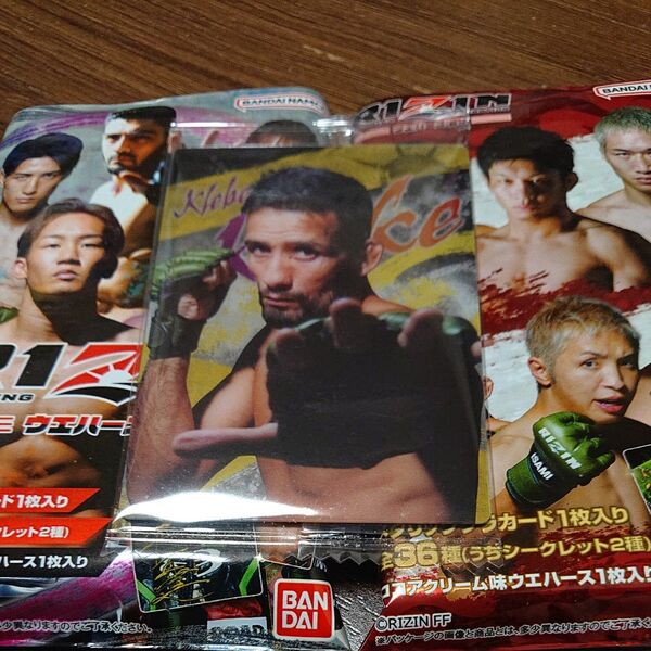 RIZINウエハース24 No.14 クレベル・コイケ選手