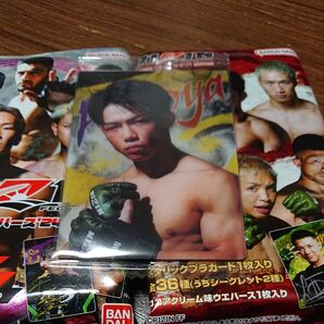 RIZINウエハース24 No.25 ヒロヤ選手