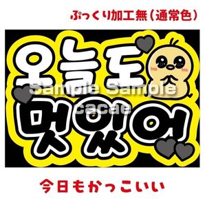 【即購入可】ペンサボード文字 パネル A4サイズ メンカラ コンサート ライブ 推し色 今日もかっこいい ハングル 韓国語 黒色
